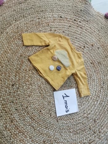 Haut manches longues taille 1 mois