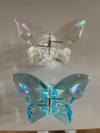 Lot de 2 pinces papillon 🦋
