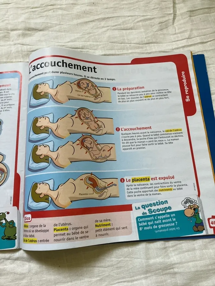 Fiches pédagogiques – Le Petit Quotidien (n°17H, mars 2020) - photo numéro 8