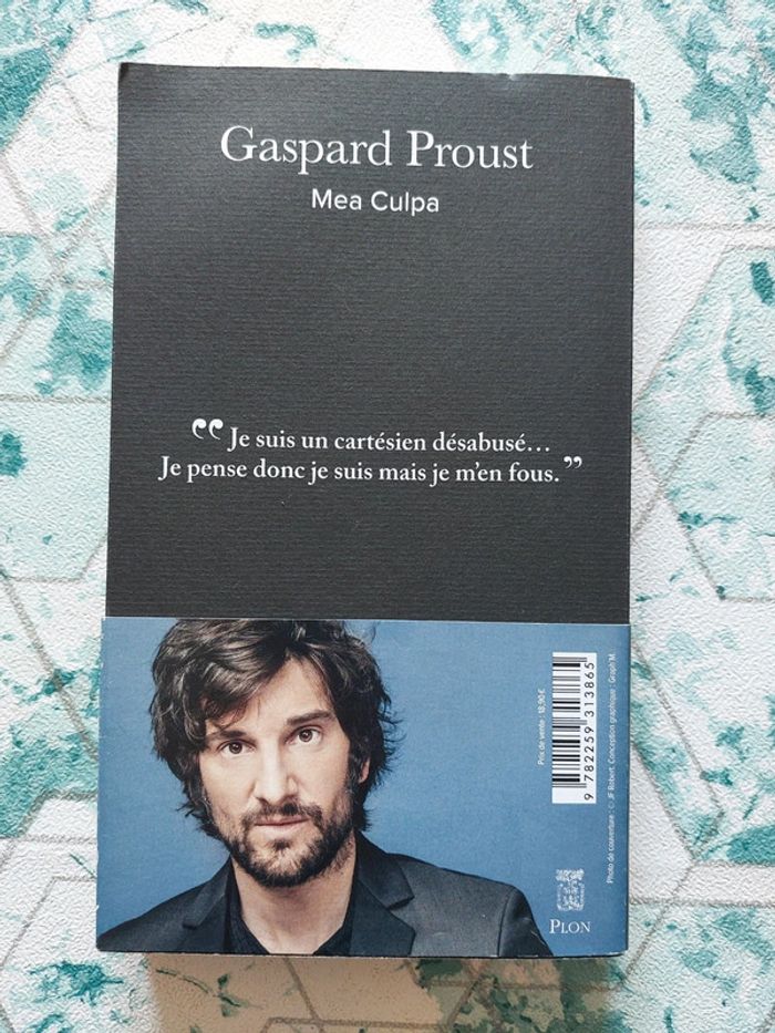 Gaspard Proust - Mea Culpa - photo numéro 2