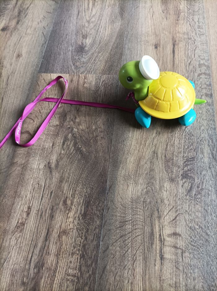 Tortue à tirer - photo numéro 2