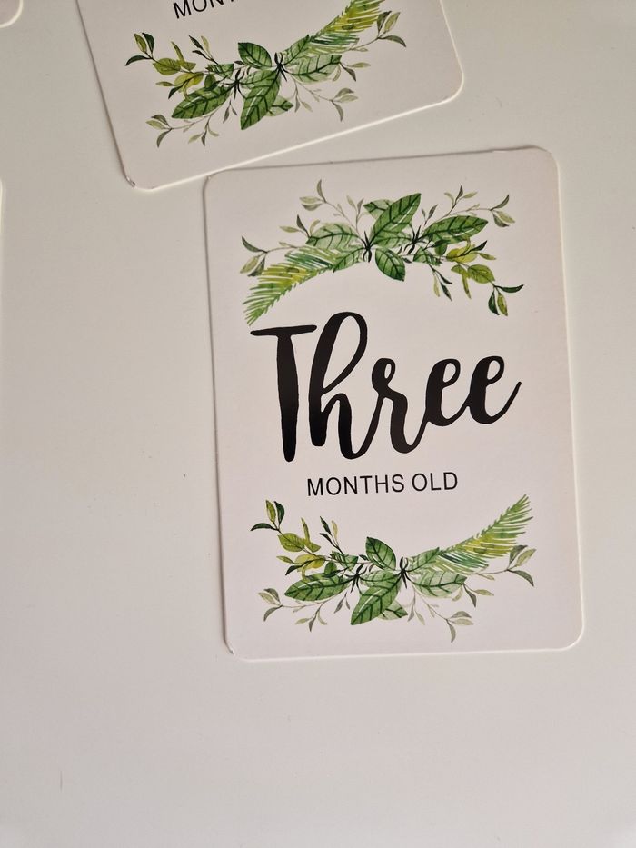 Lot des 12 cartes première année naissance bébé - photo numéro 4