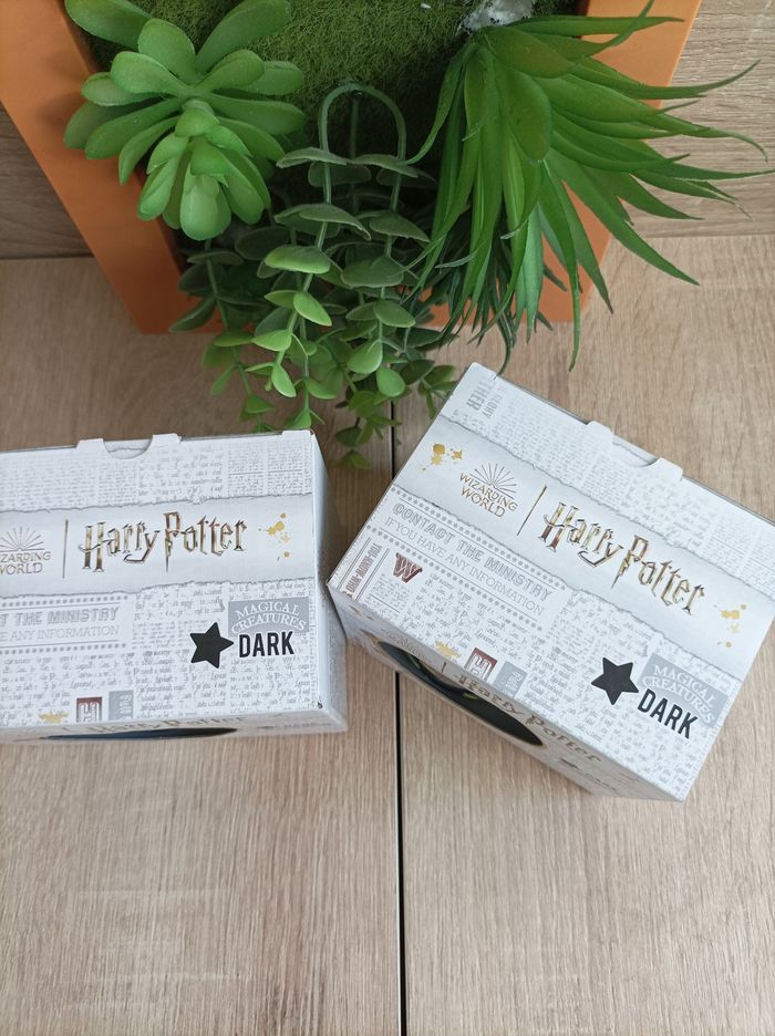 Lot 2 tasses Harry Potter - photo numéro 2