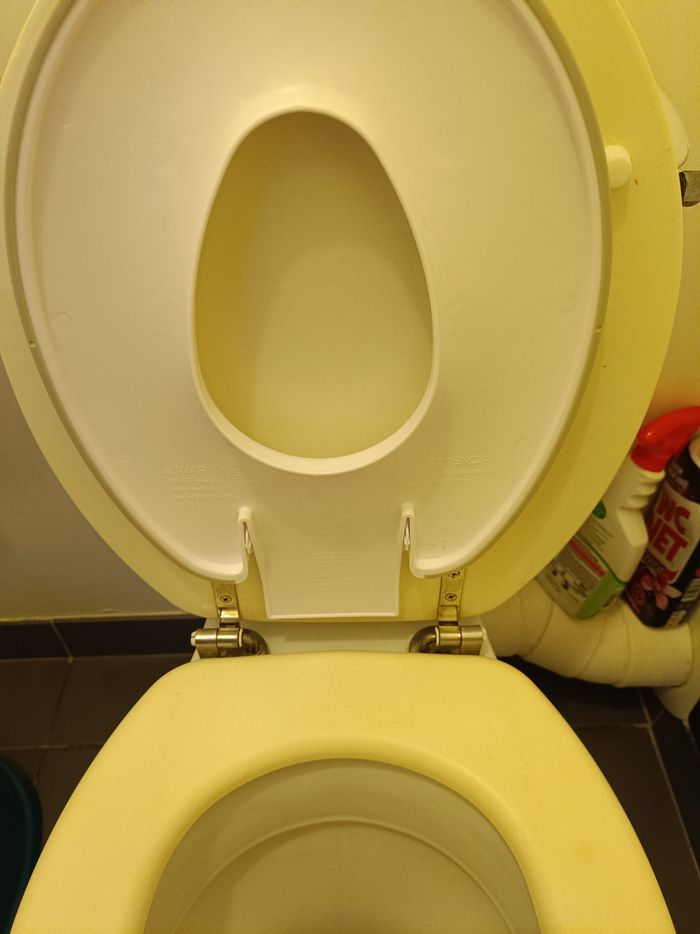 Adaptateur wc enfant - photo numéro 4