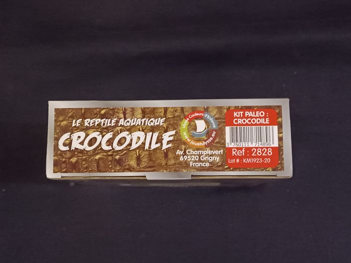 Kit paléontologie crocodile - photo numéro 4