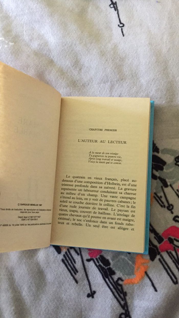 La mare au diable Georges Sand Dargaud Jeunesse - photo numéro 8