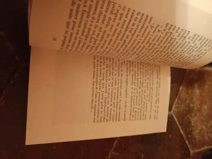 Livre la nuit est mon royaume - photo numéro 3