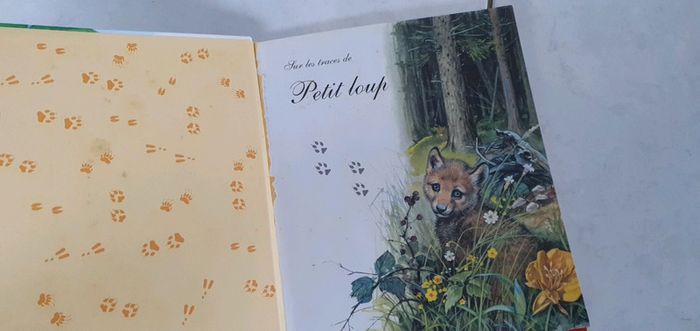 Livre Bébés animaux en balade lya2 - photo numéro 4