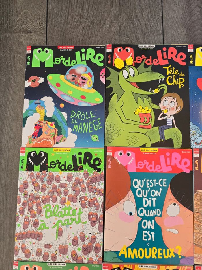 11 livres Mordelire - photo numéro 2
