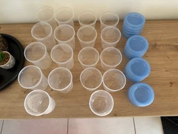 Pots de conservation Philips Avent – Lot pour bébé 🍼