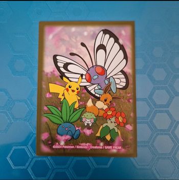 1 sleeve pokemon