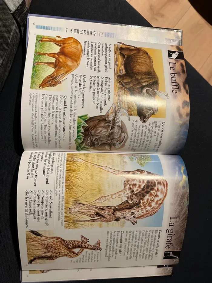 Livre imagia animaux – Éditions Fleurus - photo numéro 4