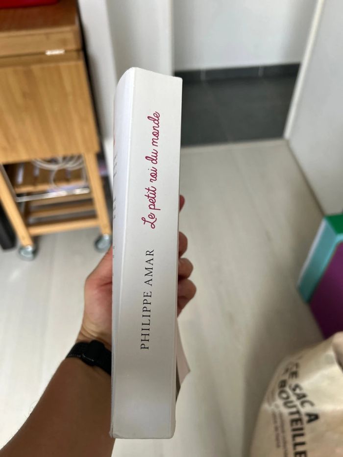 Livre « le petit roi du monde » Philippe Amar - photo numéro 3