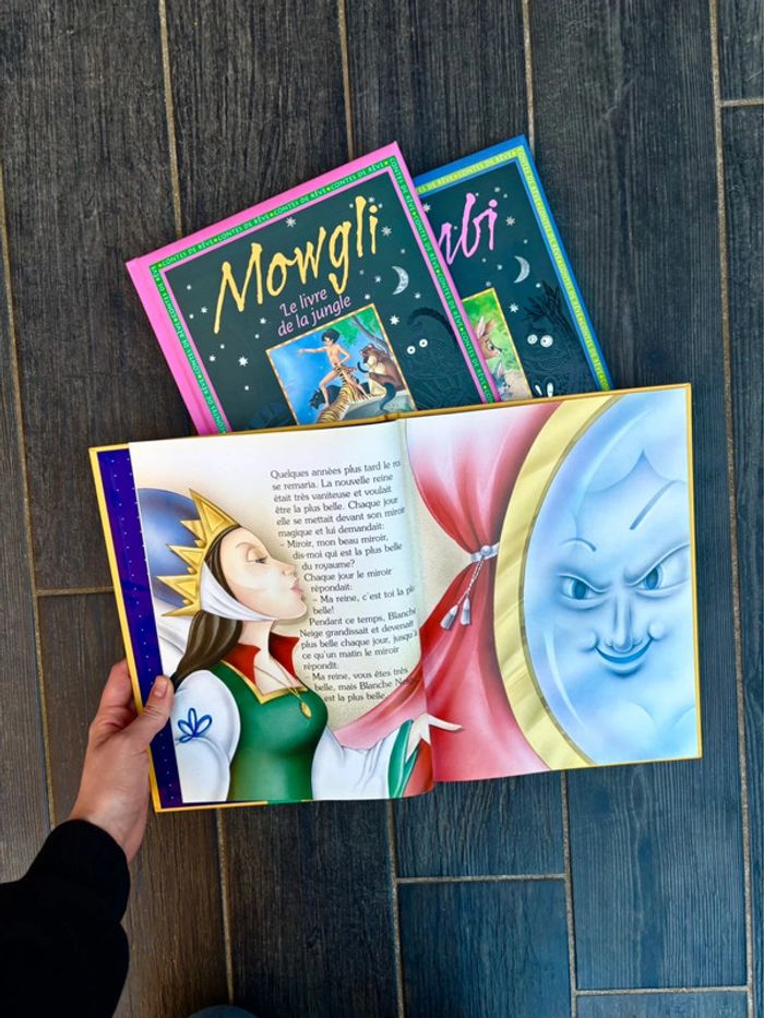 Lot de Jolies Livres de Contes pour Enfants - photo numéro 6