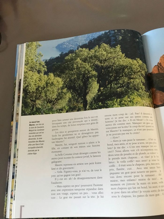 Livre La Provence - photo numéro 2