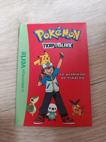 Pokémon le problème de pikatchu