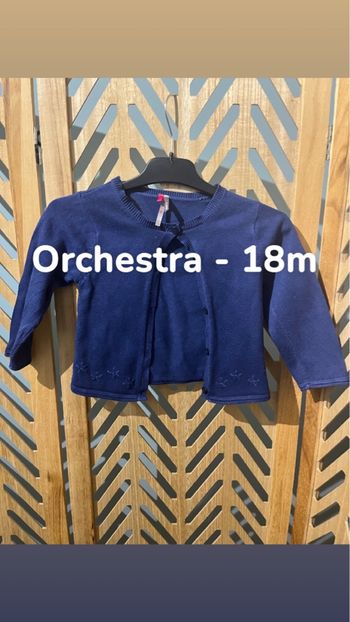 Gilet bleu 18m fille