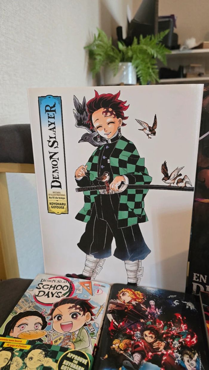 Vend collection complète demon slayer - photo numéro 6