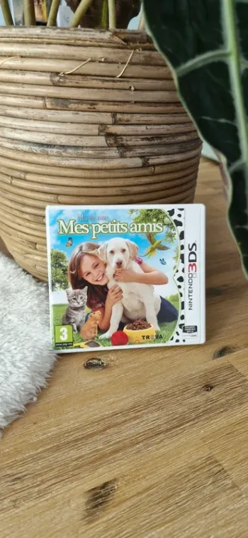 Ma vie avec Mes petits amis