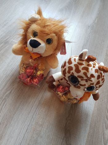 Chocolats et peluches