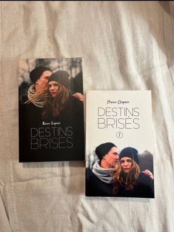 roman « destins brisés »