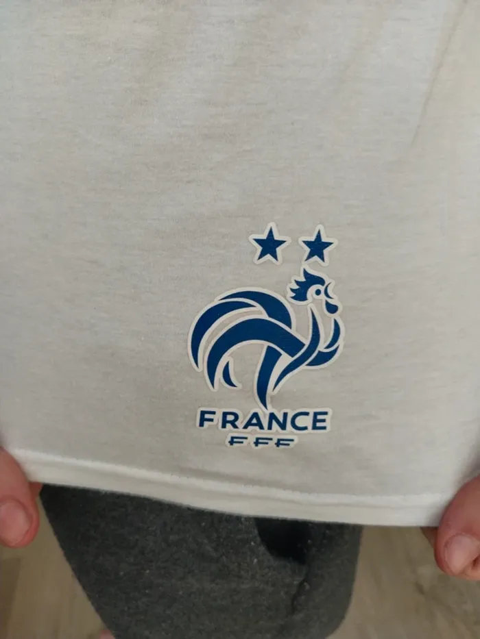Tee-shirt champion du monde 2018 - photo numéro 2