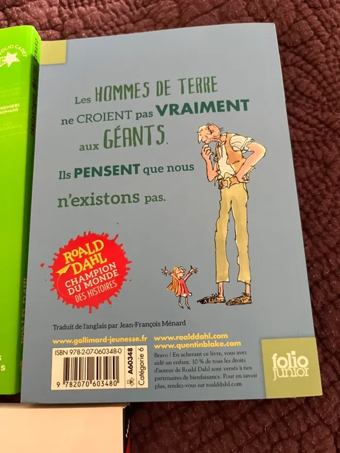 Lot livres enfant - photo numéro 4