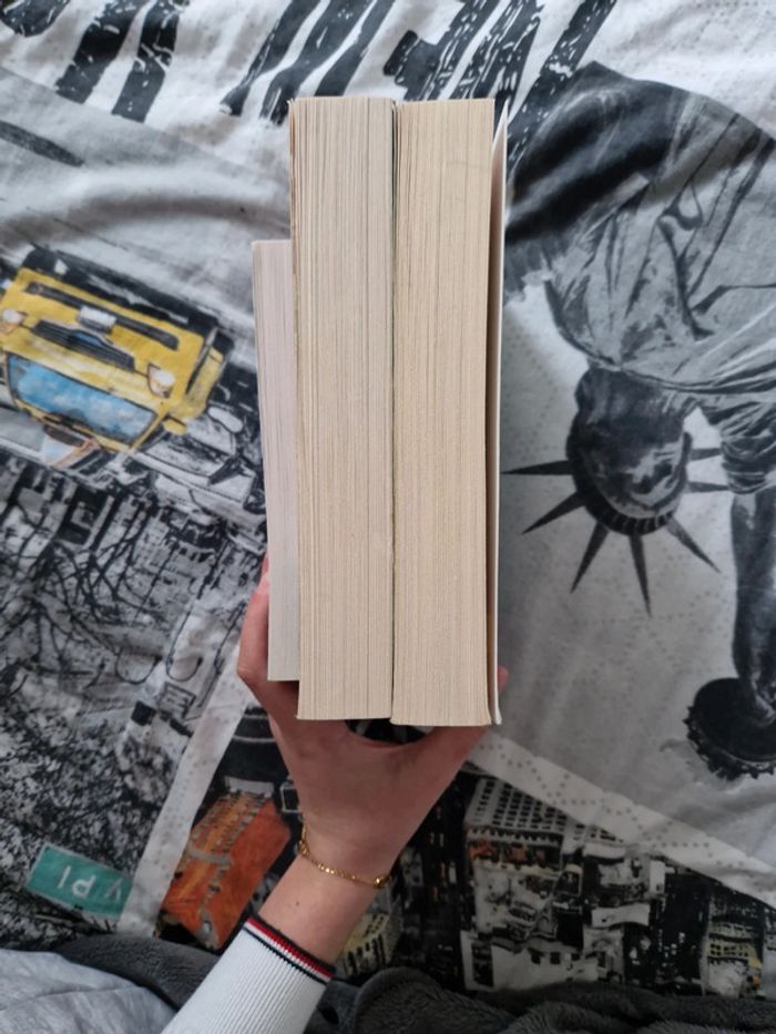 Lot 3 tomes de Sara Wolf - photo numéro 9