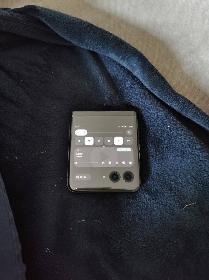 Bckdld - photo numéro 2