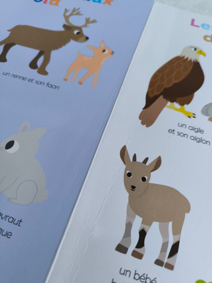 Livre Mes premiers bébés animaux à toucher Auzou - photo numéro 9