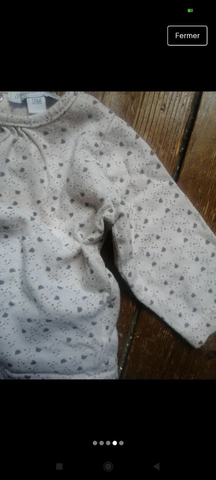 Ensemble - photo numéro 4