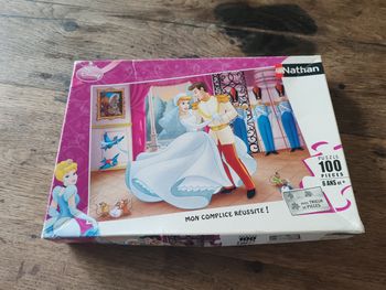 Puzzle 100 pièces
