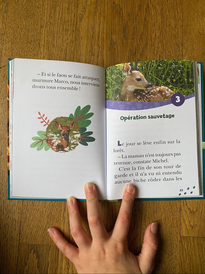 Livre Bienvenue au refuge Un amour de faon - photo numéro 3