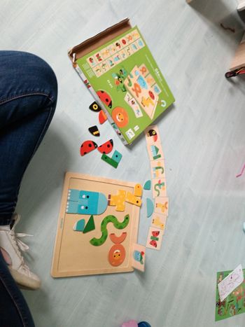 Atelier animaux magnétiques Montessori en bois geobasic