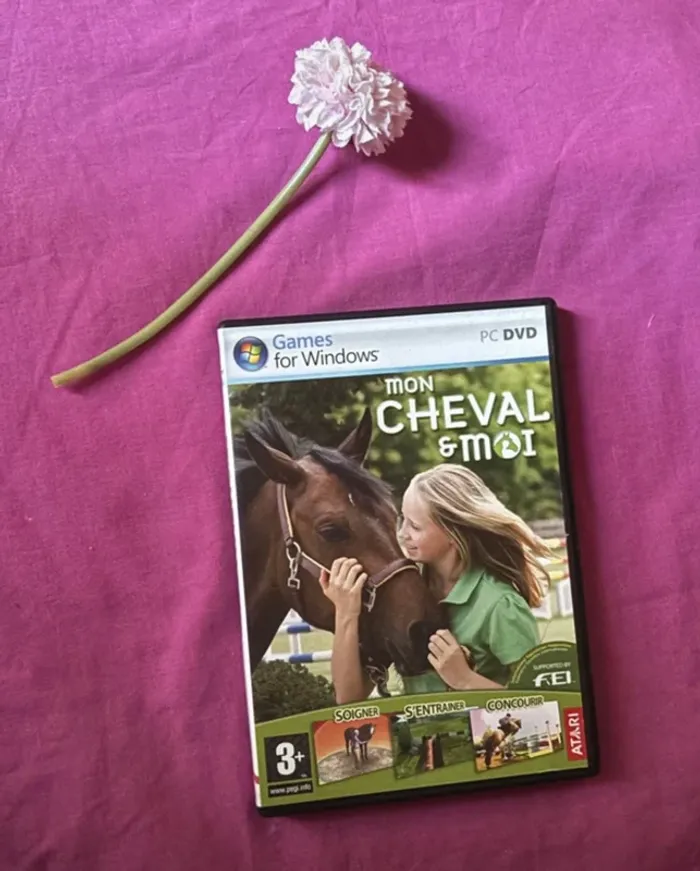 Mon cheval et moi