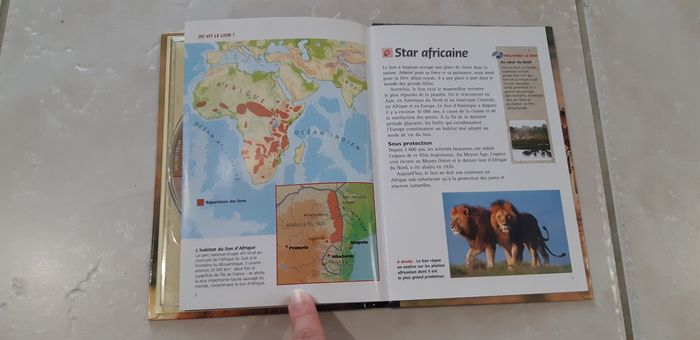 DVD animalier Vivre avec les lions - photo numéro 4