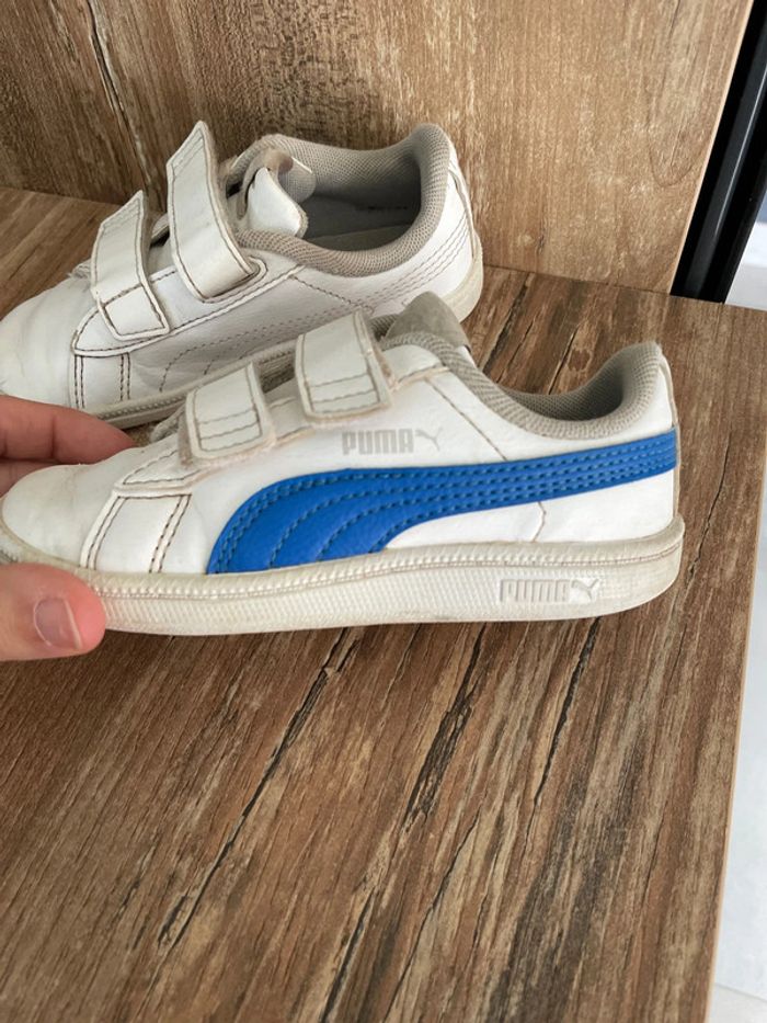 Puma taille 25 - photo numéro 2