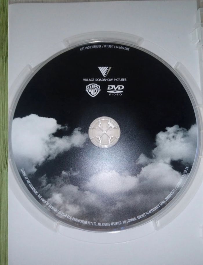 Le royaume de Ga Hoole - photo numéro 3