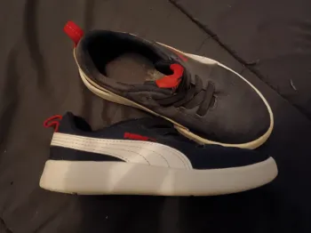 Basket puma