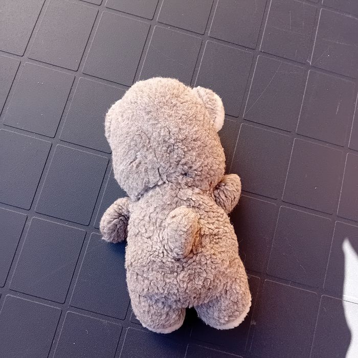 Nounours - photo numéro 2