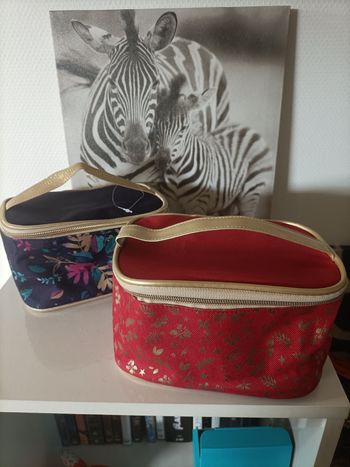 Lot de 2 Vanity, sacoche de toilette