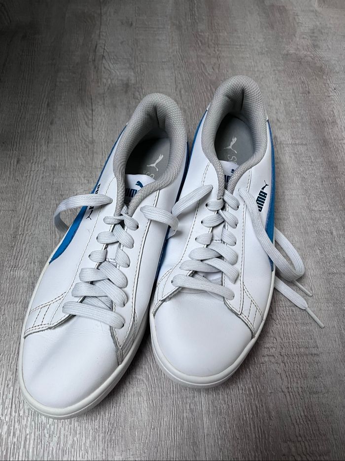 Basket puma