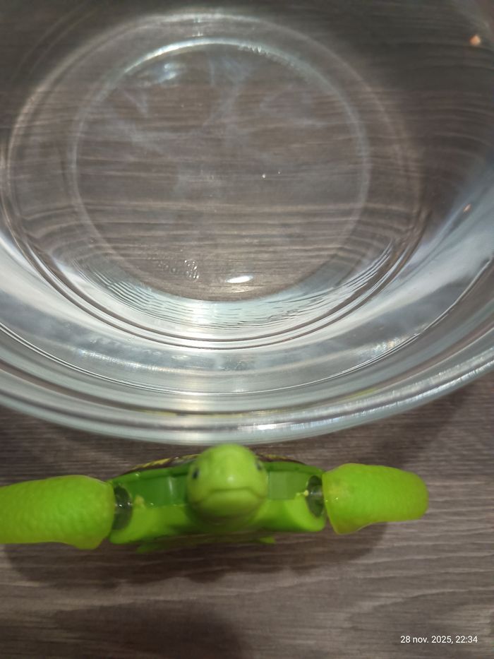 2 petites tortues mécanisées - photo numéro 6