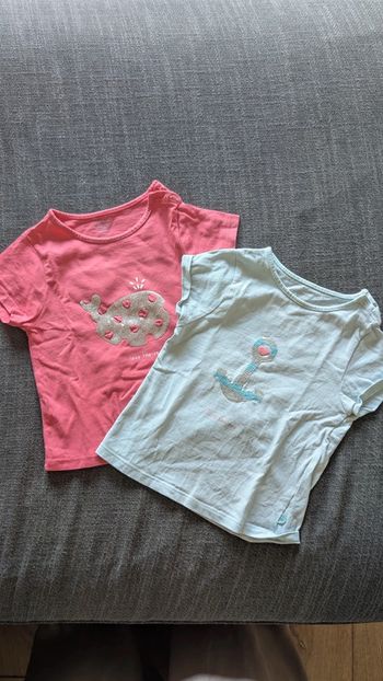 Lot de 2 tee-shirts taille 24 mois