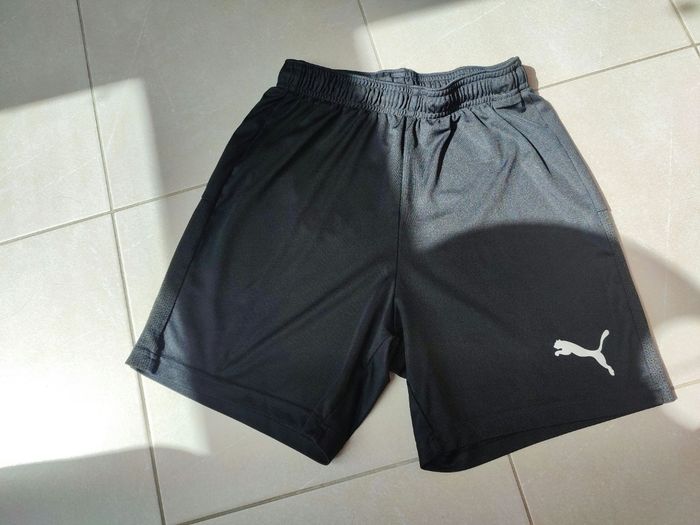 Short puma - photo numéro 2