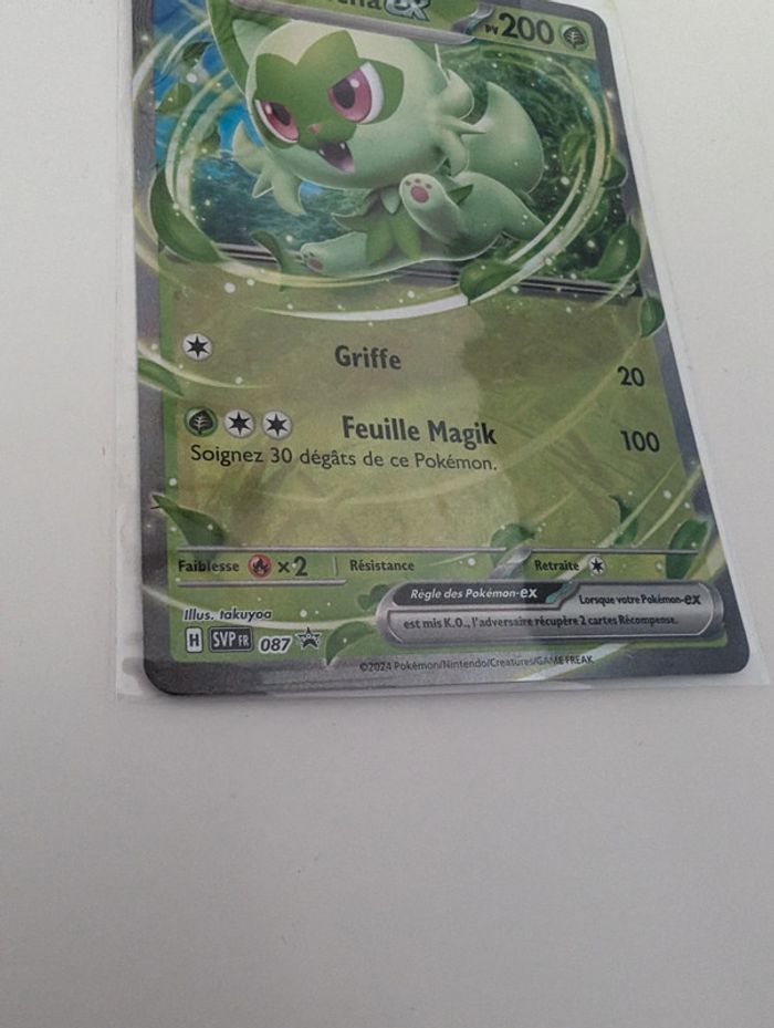 Poussacha 087 - photo numéro 2