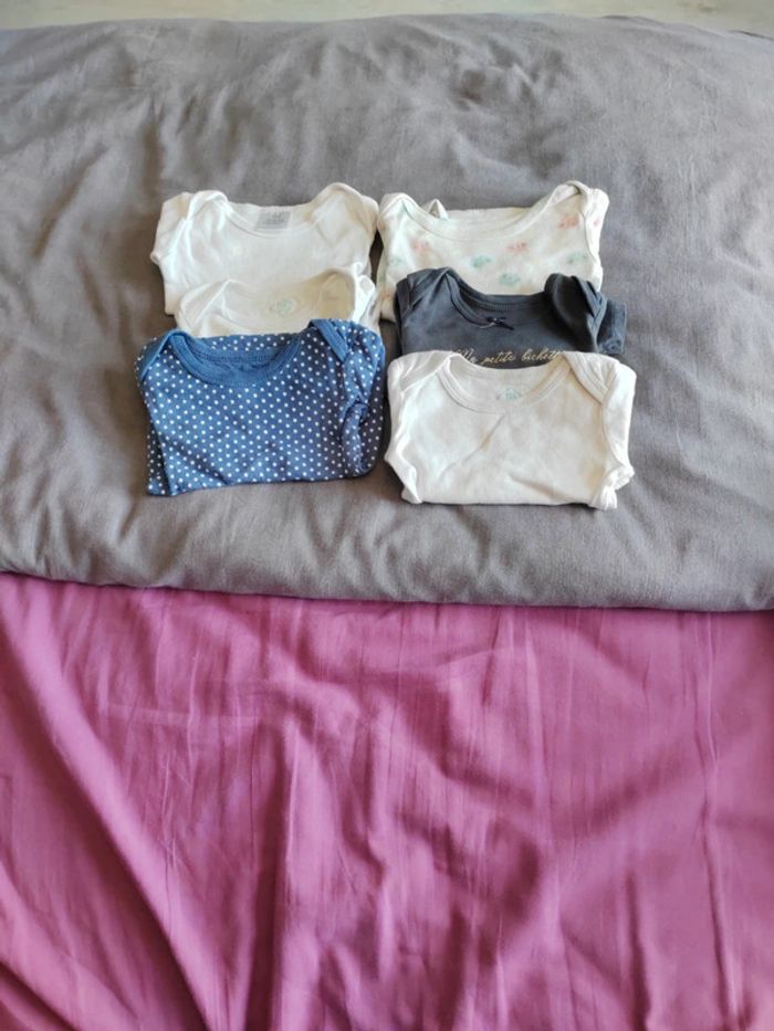 Lot bodys ML
