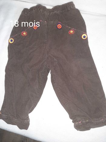 Pantalon velours