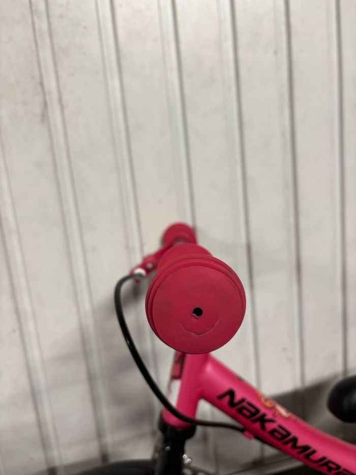 Draisienne - photo numéro 3