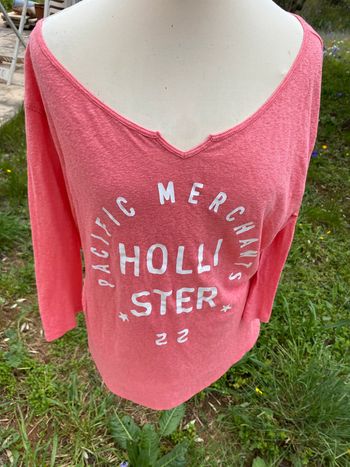 Top Hollister rose